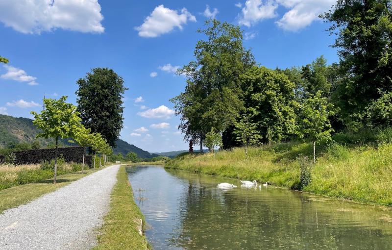 Visite des jardins d'eau du château d'Annevoie et repas détente sur l'île d'Yvoir